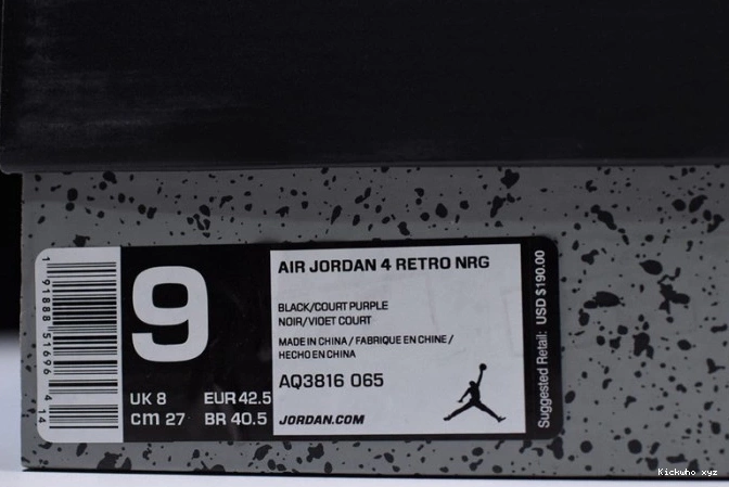 Jordan 4 Retro NRG Air Raptors